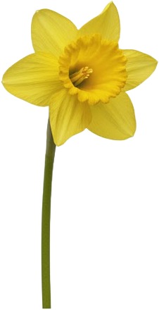 das das das das das das das das das das.jpg